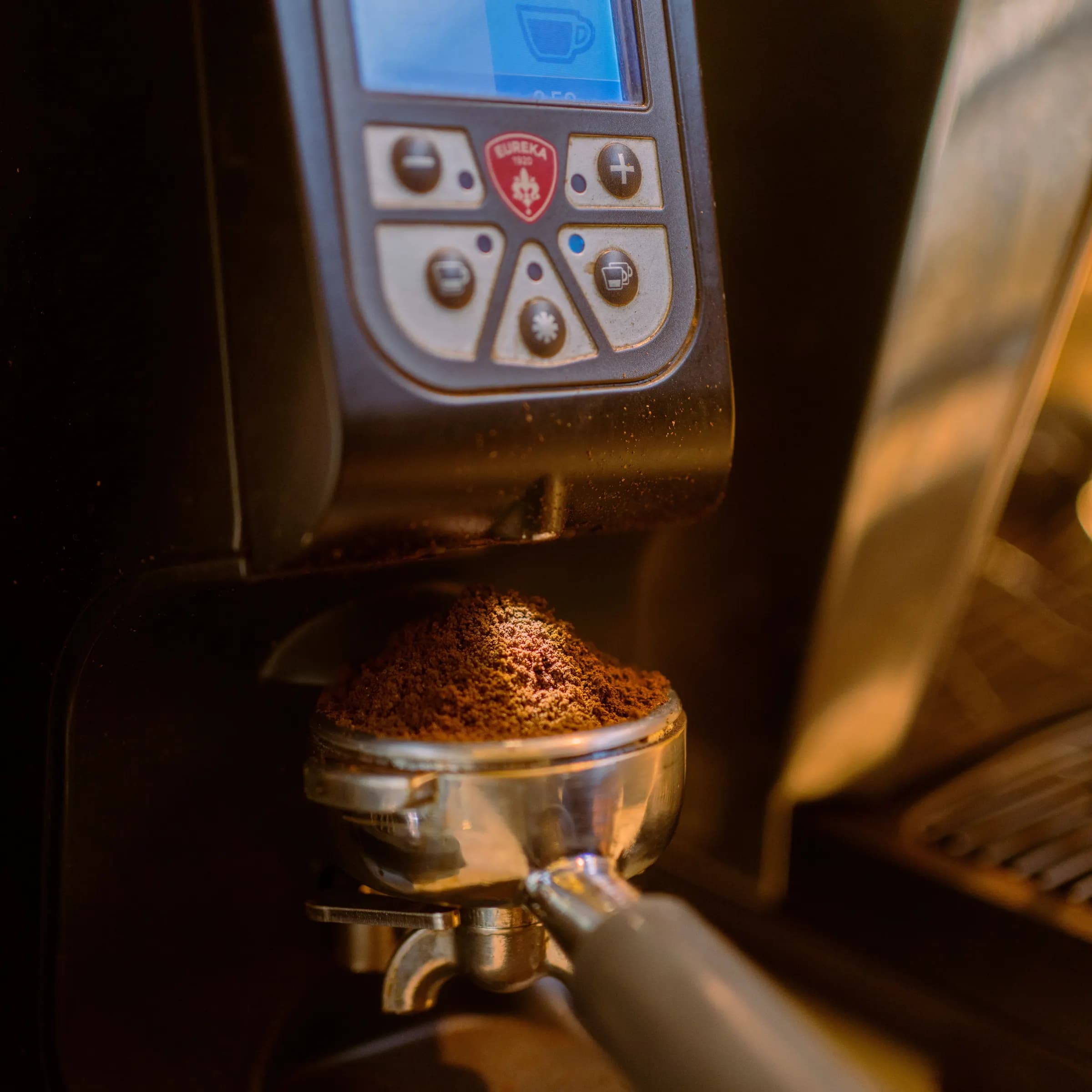 Nahaufnahme einer professionellen Kaffeemühle beim Dosieren von frisch gemahlenem Kaffee